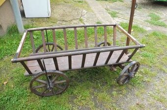 Starý žebřináček