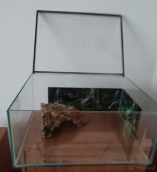 Akvárium - terárium + želva.