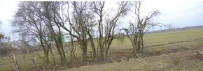 RYBNÍK = VODNÍ PLOCHA ,15 min.autem od D1, EXIT 12 Říčany