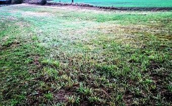 Pozemek 5.900 m2 v Mohelnici komerce průmyslová zóna