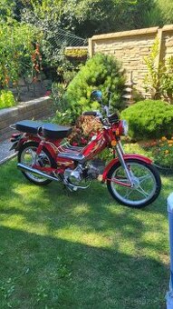 Jawa betka 50