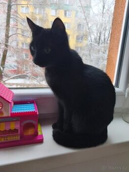 Daruji do dobrých rukou