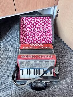 Dětský akordeon harmonika