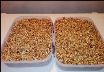 Vlašské ořechy loupané