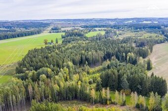 Prodej lesa, 2232 m2, Všeradov