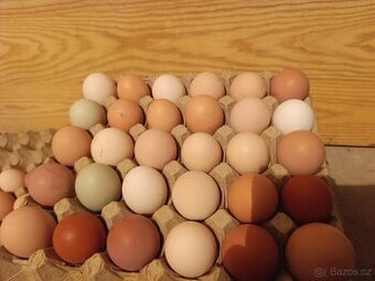 Domácí vajíčka