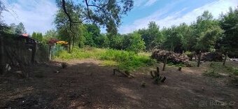 Pronájem zahrádka | Zahrada 663 m2, Orlová Město