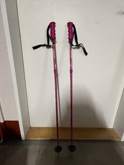 Dívčí lyžařské hůlky které rostou