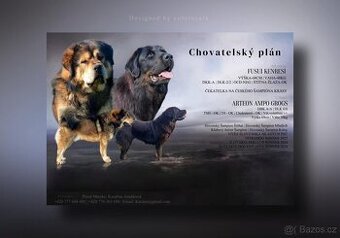 Tibetská doga