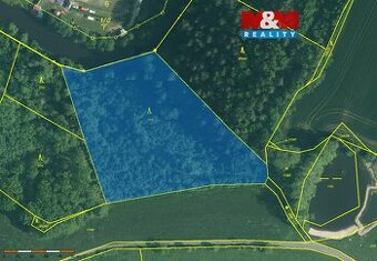 Prodej lesa, 9272 m², Římov - Branišovice