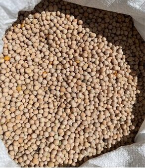 Hrách krmný žlutý