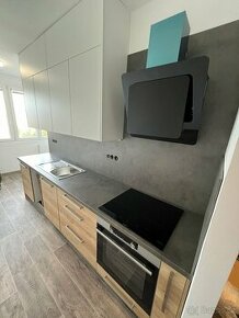 Nově zrekonstruovaný slunný byt v Plzni, Bory - 1