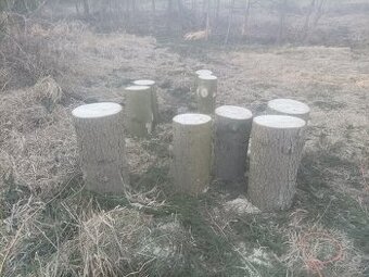 Prodám špalky na štípání dřeva-Broumovsko