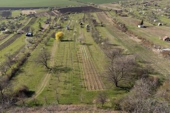 Prodej sadu a vinice Strážnice