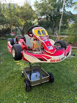 Motokára Birel Art Easykart 60cc - 1