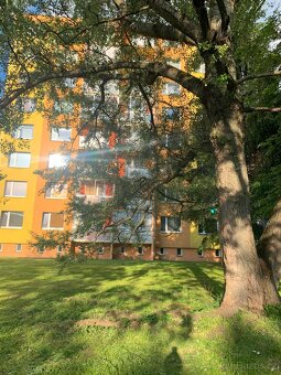 Pronájem plně vybaveného bytu Šumperk, ul. Lidická