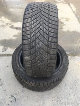 225/45/17 zimní