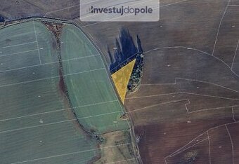 Prodej specifického pozemku 2 938 m², Škvořetice