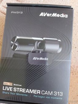 Live Streamer Cam 313