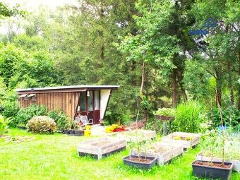 Prodej, zahrada 615 m2 s chatkou, obec Běšiny u Klatov