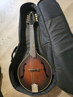 Celomasivní mandolína FURCH Ma 2 A