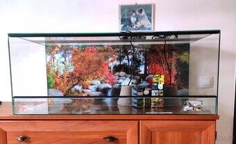 Terárium vybavené 80x40x40 nové .Síla skla 5 mm .Polyuretano