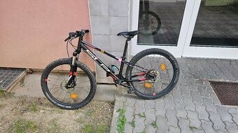Superior Team 24