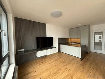 Pronájem byty 2+kk, 45 m2 - Praha - Nusle, ev.č. V3560