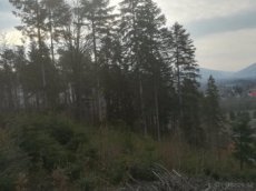 Lesní pozemek 3,4ha, KÚ Frýdlant nad Ostravicí
