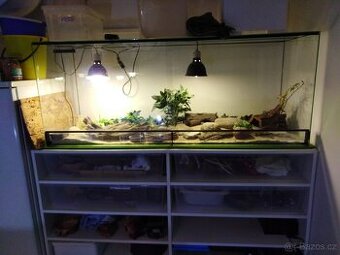 Terarium starší 120dx65hx50v Horni i dolní větrání. Cena bez