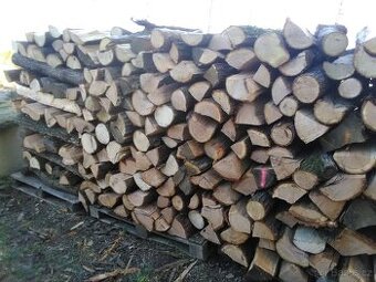 Prodej palivového metrového dřeva