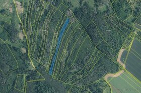 Prodej lesa 7 489 m² - Drásov
