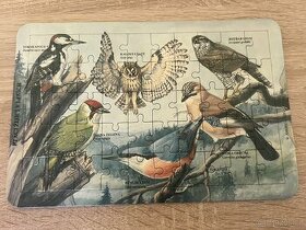 retro skládačka pro děti,puzzle - ptáci žijící v lesích