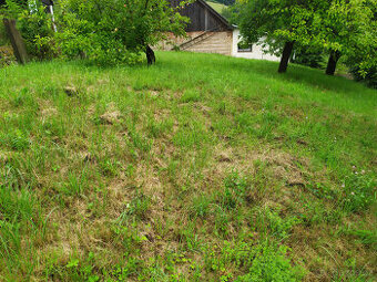 Prodej stavebního pozemku 828 m² v Dlouhomilově
