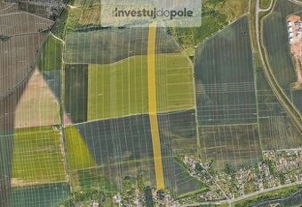 Prodej pole v k.ú. Křimice - 1