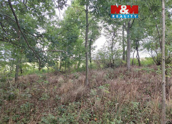 Prodej ovocného sadu, 163 m², Bystřice