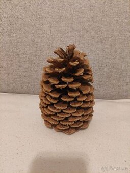 Šišky ke zdobení na Vánoce