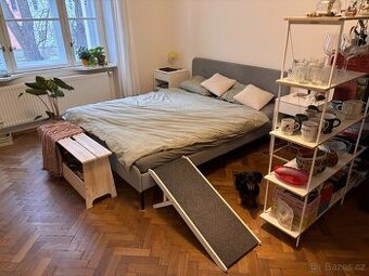 Rampa / schůdky pro psi Trixie