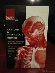Anatomy&Physiology Flash Cards