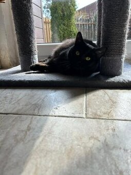 Lilu