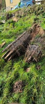 Lesnické uzlové pletivo