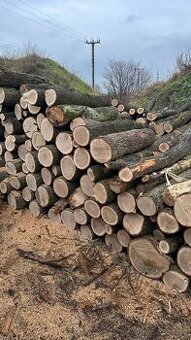 AKCE Palivové dřevo tvrdé metry