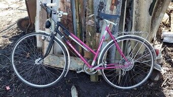 Dámské kolo favorit