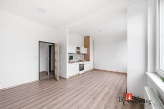 Pronájem, byty/2+kk, 46 m2, 41201 Mlékojedy, Litoměřice [ID 