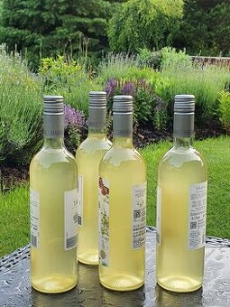 Bezinkový sladký sirup z květů černého bezu - 1