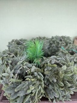 Věnec z Jedle Nobilis