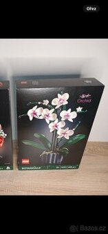 Lego botanicals 10311 orchidej