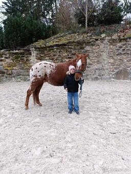 Appaloosa