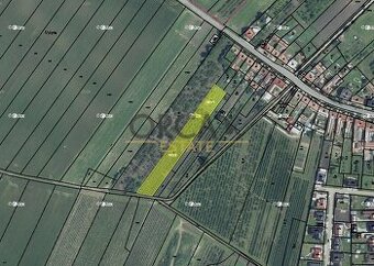 0,2 ha pozemků v k.ú. Moravský Žižkov
