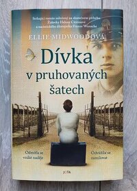 Dívka v pruhovaných šatech - 1